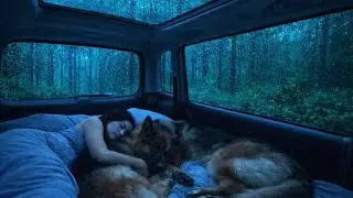 Rain Sounds for Deep Sleep &ndash; Fall Asleep in Minutes | Anxiety Relief😴💤