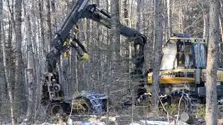 Balanced Forestry tour