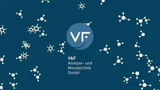 V&F 2021