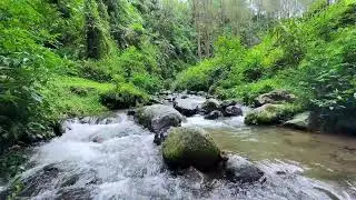 Calming river sound in tranquil forest environment supporting deeper restful deep sleep tonight