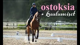 KISATREENEISSÄ + ISO HAUL | elämääni