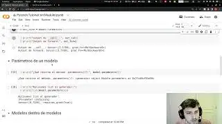 Tutorial Pytorch: nn.Module - la base de los modelos