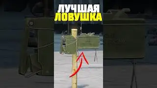 ЛУЧШАЯ ЛОВУШКА НА ТОПИКА в DayZ #dayz #дейз