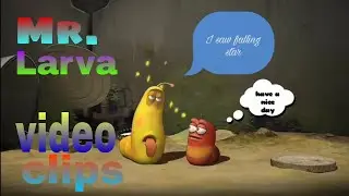 Mr.Larva got a  star on his head(video clips) cartoon Movie