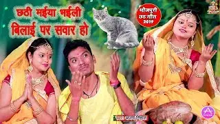 छठी मईया भईली  बिलाई पर शवर हो - TOP Chhath Video Ajay Nihal - lyrics Vinay Bihari Chhath song