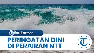 Waspada Gelombang Tinggi 3 Meter Landa Perairan NTT, BMKG Keluarkan Imbauan Untuk Nelayan