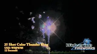 Color Thunder King WBP8705