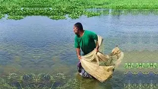 Best Net Fishing Video - New Net Fishing Video - Cast Net Fishing Video