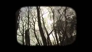 Welcome to the Avant Gardens | Official Lyric Video
