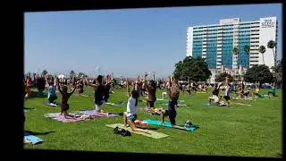 YOGA ON THE BLUFF ✳ LONG BEACH ⛱