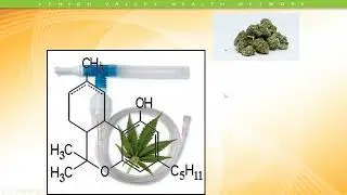 Miller_Current Trends In Asthma Part 2