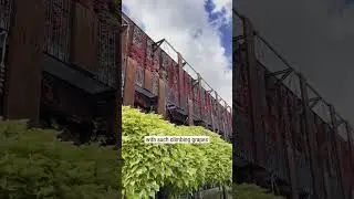 #shorts POV 1: Where we talk about green facade and photovoltaic panels. (English subtitles)