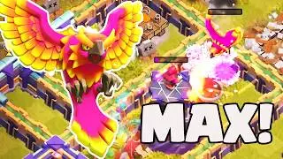 MAX PHOENIX!