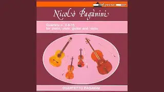 Guitar Quartet No. 2 in C Major, Op. 4, No. 2, MS 29: I. Moderato