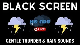 Gentle Thunder & Rain Sounds | Perfect for Sleep & Focus