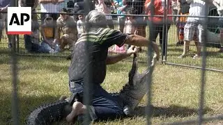 Festival celebrates 'Old Florida' tradition of alligator wrestling