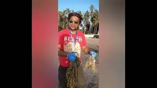 Beach Clean-Up Drive
