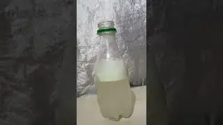 Eno vs shampoo (the Amazing Experiment)