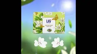 Lily Beauty Soap  | Dynamic Social Media Ads | Harlan