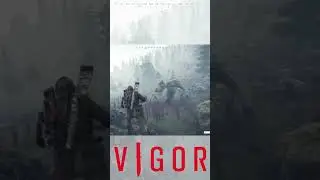 I Hit The Snipe of The Sentry With The SVD (Vigor)