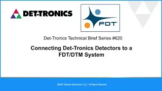 Techical Brief #620: Connecting Det-Tronic Detectors to a FDT/DTM System