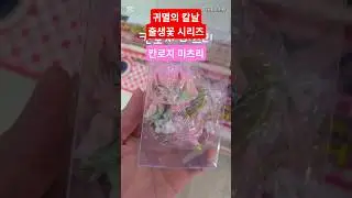 귀멸의 칼날 피규어 출생꽃 시리즈 (칸로지 미츠리)