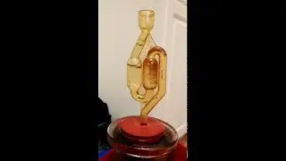 Airlock (fermentation)