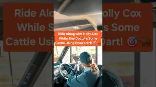 Ride along with Holly Cox while she doctors some cattle using Pneu-Dart!