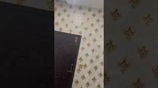 Room prepared with pvc wallpaper by AYAAN GROUP OF INTERIOR any kind of interior work con03008726564