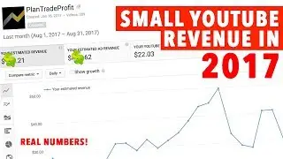 Small YouTube Channel Revenue in 2017! HIGH CPM!!!