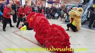 Chinese Lantern Festival 08.02.2020 Lion Dance Performances