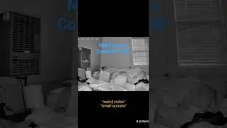 Night terrors in Complex PTSD #caughtoncamera #nightterrors #cptsd   #sleep