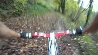 Newtimber Hill Mountain Biking HD