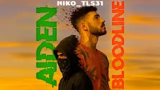 Sous le silence - Niko_tls31 (Official Lyric Video)