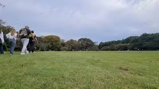 Real Natural Ambience at Imperial Palace East National Gardens, Tokyo, Japan