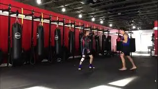 Boxing focus mitt workout