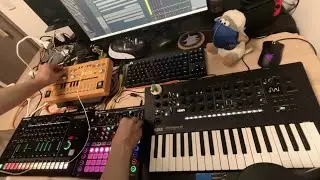 Ancient Capital - dawless techno live jam - TR-8S, minilogue xd, circuit mono station, TD-3