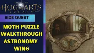 Moth / Butterfly Puzzle Astronomy Wing