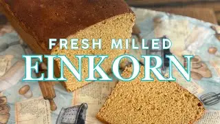 Easy Einkorn Bread Made with Freshly Milled Flour | Beginner-Friendly Ancient Grain Bread Recipe