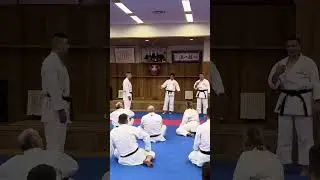 Watanabe-Sensei  demonstrating yoko-geri keage yoko-geri kekomi with the same leg #日本空手松涛連盟  #karate