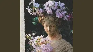 Illusions