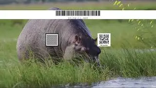 barcode 9 chess with audio