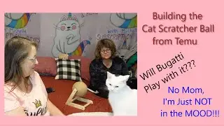 Cat Scratcher Ball Toy from Temu ~ Build & Review