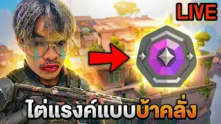 🔴Live วิทมายทีม