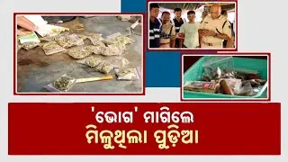 Bhubaneswar Drug Racket Busted | Codeword-Based Ganja Trade Exposed By STF & Crime Unit