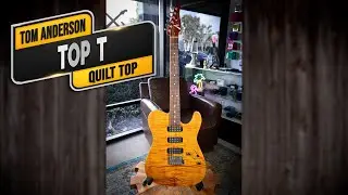Tom Anderson 2004 Top T - VGW