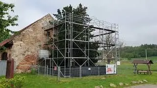 The oldest tree in Poland - a 1,400 year old common yew in Henryk&oacute;w Lubanski!