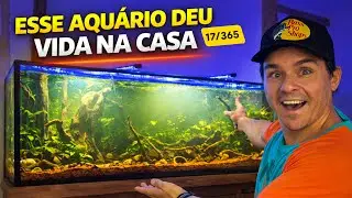 DESMONTEI O MARINHO E FIZ ESSE AQU&Aacute;RIO BOT&Acirc;NICO, SE LIGA NO RESULTADO !