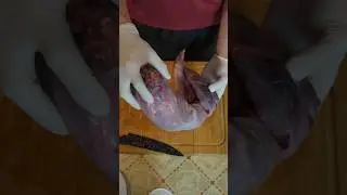 &Lambda;&alpha;&gamma;ό&sigmaf; &Sigma;&tau;&iota;&phi;ά&delta;&omicron; 🔥