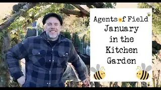 January in the Kitchen Garden